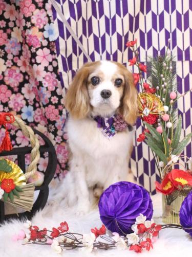 20250119マロくん